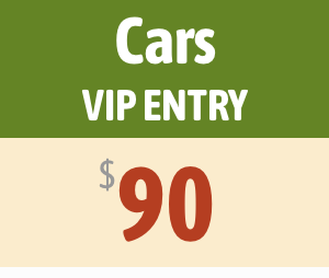 Car-VIP-Entry